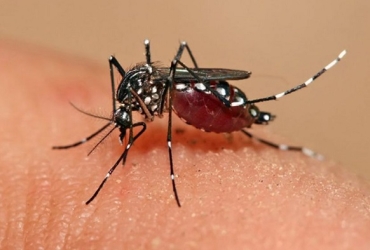 Dengue en Rosario: Murió un joven de 25 años sin comorbilidades