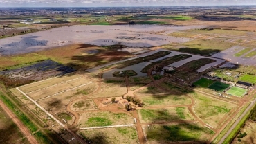 La procuradora recomendó mantener la clausura de Damfield en Funes y el desarrollo mostró su posición legal