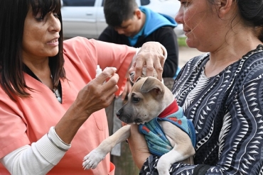 CAMBIO DE MODALIDAD EN LA ATENCIÓN A MASCOTAS