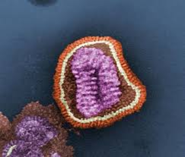 Gripe H3N2: detectan dos casos en Santa Fe