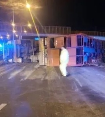 Faenaron vacas que transportaba un camión que volcó en Circunvalación