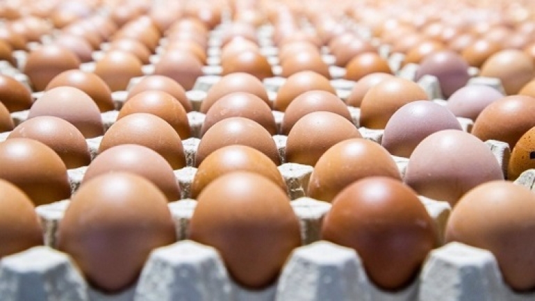 Récord en consumo de huevos: Se vienen los "mega maples"