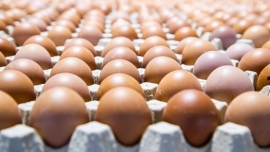 Récord en consumo de huevos: Se vienen los "mega maples"