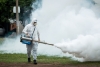 EL MUNICIPIO ANUNCI&Oacute; CRONOGRAMA DE FUMIGACI&Oacute;N PARA ESTA SEMANA