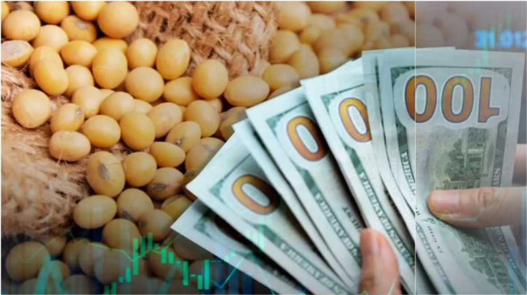 Fin de retenciones cero: Vuelven a cobrar retenciones a los granos y la carne