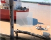 Hallan 500 kilos de coca&iacute;na en un barco que cargaba en Vicentin