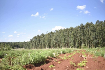 Quiénes son los mayores dueños de tierras en la Argentina y el debate en el Congreso