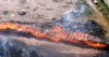 Se reactiv&oacute; el incendio en el monte de eucaliptos de la Celulosa