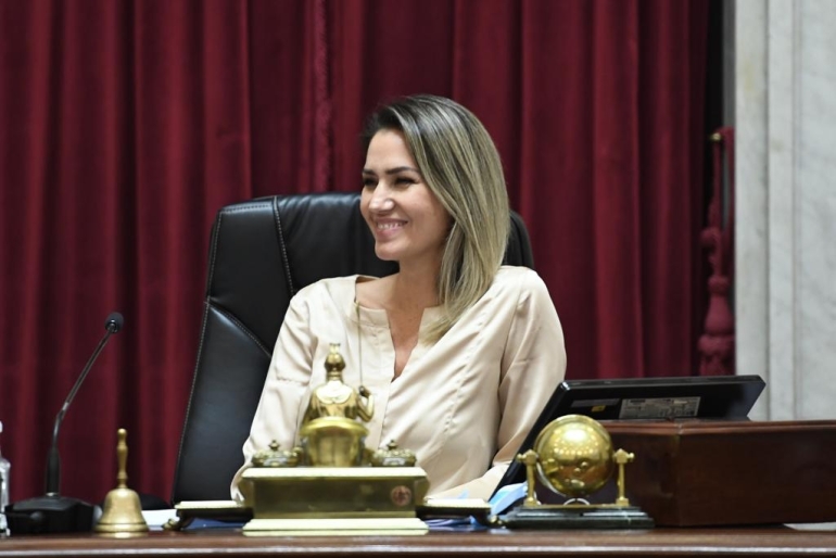 La senadora radical Carolina Losada votó de vuelta junto a La Libertad Avanza