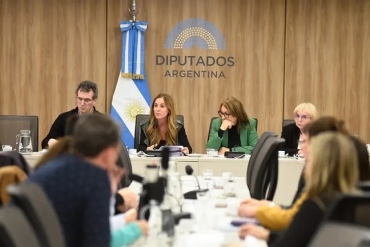La comisión del fentanilo citó al Ministro de Salud y funcionarios de ANMAT