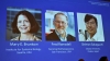 Premio Nobel de Medicina 2025 para tres especialistas en el sistema inmunol&oacute;gico