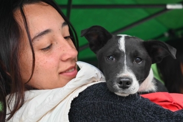 LA MUNICIPALIDAD ORGANIZA UNA JORNADA MASIVA DE VACUNACIÓN Y DESPARASITACIÓN DE MASCOTAS