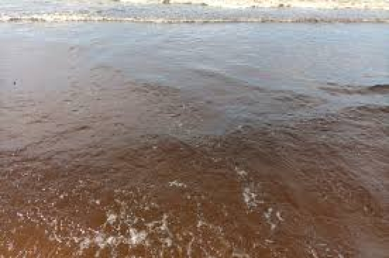INFOMALDONADO: Agua marrón en playas de Punta del Este: la explicación de la Intendencia