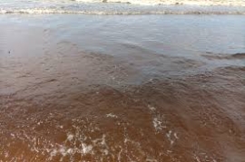 INFOMALDONADO: Agua marrón en playas de Punta del Este: la explicación de la Intendencia