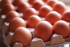 Los huevos subieron casi 50% en un mes