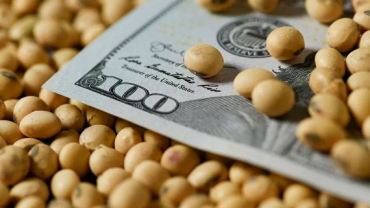 El Gobierno anunció la eliminación de las retenciones para todos los granos hasta el 31 de octubre