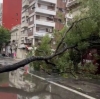 Alerta amarilla: Continuar&aacute;n fuertes vientos y lluvias que ya provocaron destrozos y cortes de luz