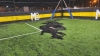 Balearon un complejo de canchas de f&uacute;tbol 5