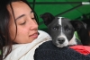 LA MUNICIPALIDAD ORGANIZA JORNADAS DE ESTERILIZACI&Oacute;N MASIVA Y VACUNACI&Oacute;N DE PERROS Y GATOS POR EL &ldquo;MES DEL ANIMAL&rdquo;
