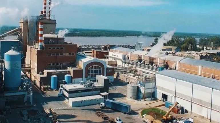 Celulosa Argentina se presentó en concurso tras acumular pérdidas millonarias