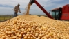 Anunciaron nueva baja de retenciones a las exportaciones del campo