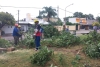 CUADRILLAS DE SERVICIOS P&Uacute;BLICOS TRABAJAN EN LA REMOCI&Oacute;N DE RAMAS CA&Iacute;DAS TRAS LA TORMENTA