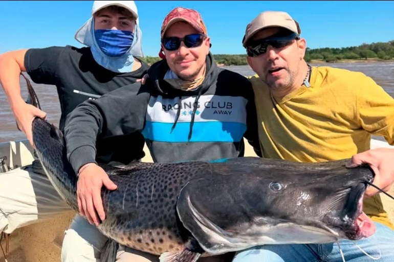 Pescaron un surubí negro en el río Uruguay y lo devolvieron