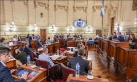 El Senado otorgó medias sanciones, y avanzó en proyectos claves