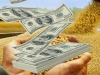Campo: se anticipa un 2025 con d&oacute;lar blend y apreciaci&oacute;n cambiaria