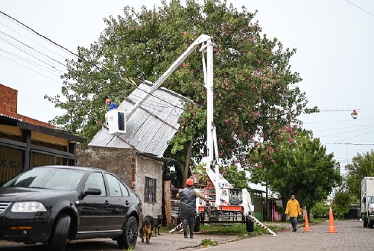 CUADRILLAS MUNICIPALES Y DE LA COOPERATIVA INTEGRAL TRABAJAN EN LA REMOCIÓN DE RAMAS Y ÁRBOLES CAÍDOS TRAS EL TEMPORAL