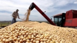 FEDERACION GREMIAL DEL COMERCIO E INDUSTRIA CELEBRA LA BAJA DE RETENCIONES Y EXIGE MAS CAMBIOS.