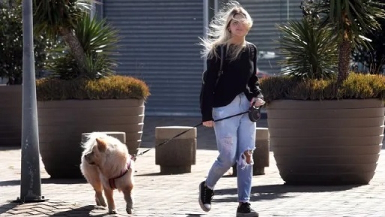 Una mañana de domingo fresca y ventosa