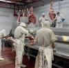 Carne de b&uacute;falo: Una opci&oacute;n m&aacute;s econ&oacute;mica y saludable