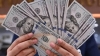 El d&oacute;lar oficial cay&oacute; pero sigue cerca del techo de la banda